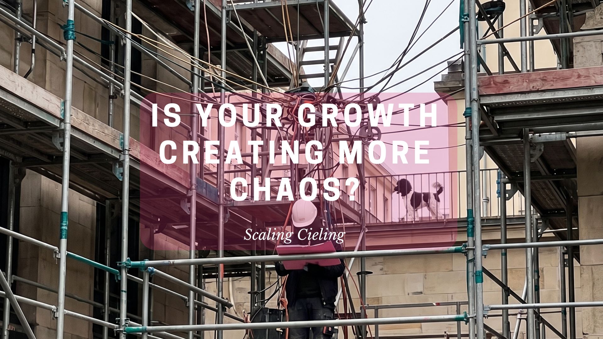 founder led growth can create chaos
